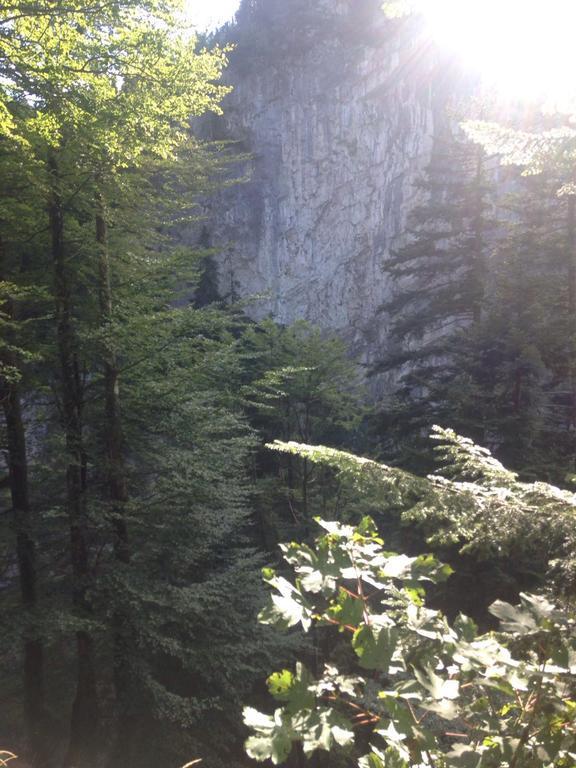 Landgasthof Hirschen โฮเฮเน็มส์ ภายนอก รูปภาพ