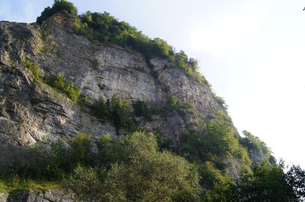 Landgasthof Hirschen โฮเฮเน็มส์ ภายนอก รูปภาพ
